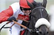 �okej Ruby Walsh v Cheltenhamu