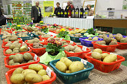 Veletrh Gr�ne Woche