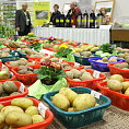 Veletrh Gr�ne Woche