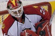 Tom� Vokoun