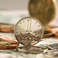 Ilustrační foto - Peníze, koruna, česká měna Ilustrační foto - Peníze, koruna, česká měna