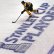 Jaromír Jágr hraje už své sedmnácté play-off NHL v kariéře