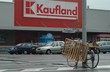 Hypermarket Kaufland