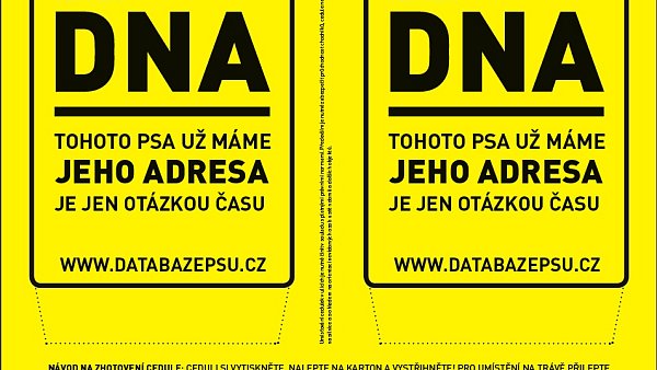 0databaze