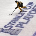 Jaromír Jágr hraje už své sedmnácté play-off NHL v kariéře