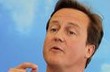 Předseda britských konzervativců, David Cameron Reuters