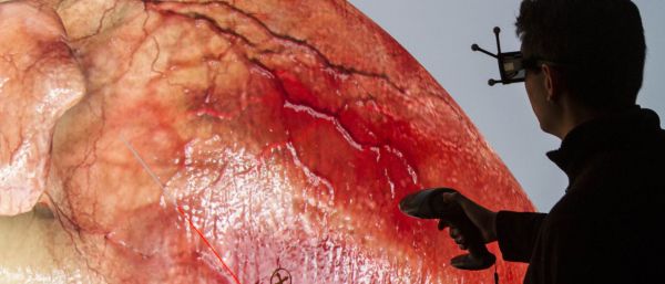 Projekt Living Heart koordinuje a&nbsp;technologicky za&scaron;ti�uje firma Simulia, sou�&aacute;st francouzsk&eacute; spole�nosti Dassault Systemes.