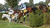 121. Velká pardubická