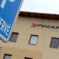 Pegas Nonwovens