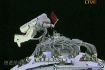 cina-vesmir-astronaut_r2_550x367_.jpg