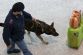 1009090767_An_Italian_policeman_and_his_dog_patrols_Fiumicino_international_airport_in_Rome_650x433_.jpg