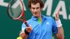 murray