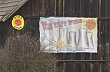 Rakou�t� aktivist� dlouhodob� bojuj� proti jadern� elektr�rn� Temel�n.