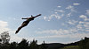 Highjump H��m�dice
