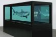 Sothebys_Damian_Hirst_Aukce_02_550x367_.jpg