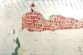 1025014372_Jan_Hendrych___erven__le__c___2009.gif_650x433_.jpg