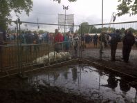 Hard Rock Calling 2012