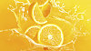 Ilustra�n� foto - pomeran�ov� d�us.