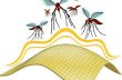 Insect Blocker Shield Grafik 2012