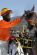 1012293729_amab0958_288x433_.jpg