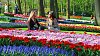 Zahrady Keukenhof v Holandsku