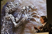 zkamenělina lemura stará 47 milionů let
