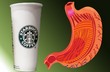 Starbucks nab�z� k�vu v kel�mku velk�m jak �aludek