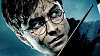 Neviditeln� pl᚝ se proslavil jako jedna z obl�ben�ch pom�cek slavn�ho �arod�jnick�ho u�n� Harryho Pottera.