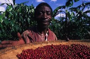 k�va fair trade