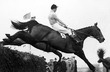 Dick Francis a Devon Loch ve Velk� n�rodn� 1956