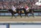 1028297176_IMG_1021_550x367_.jpg