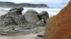 Zn�m� pl� Squeaky Beach v parku Wilsons Promontory skute�n� "sk��pe".