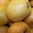 odr�da jablek Golden delicious