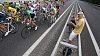 Cyklist� na Tour de France 2011.