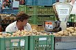 Ilustra�n� foto - Prodej brambor na farm��sk�m trhu.