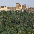 Palm�ra
