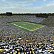 Stadion v Michiganu. Stadion v Michiganu.