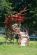 Um�leck� d�la inspirovan� pivem