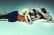 �esk� tane�n� platforma 2012 nau�� div�ky, jak ��st tanec