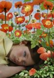 977032853_Van_Empel_3_257x367_.jpg
