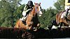 Lirain, jeden ze tří koní Josefa Váni ve 121. Velké pardubické Lirain, jeden ze tří koní Josefa Váni ve 121. Velké pardubické