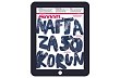 EK04 ipad3