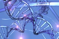DNA