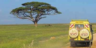 africké parky africké parky