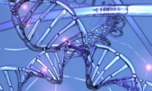 DNA