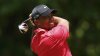Tiger Woods