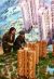 30 let ��nsk�ch ekonomick�ch reforem.