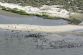 1017011664_0430WAS46_USA-RIG-LEAK_0430_11_650x433_.jpg