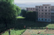 58 Serban Savu blocks and gardens