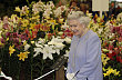 Kv�tinov� v�stava Chelsea Flower Show